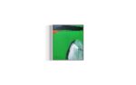 Wall #16, 2020 - Image 2